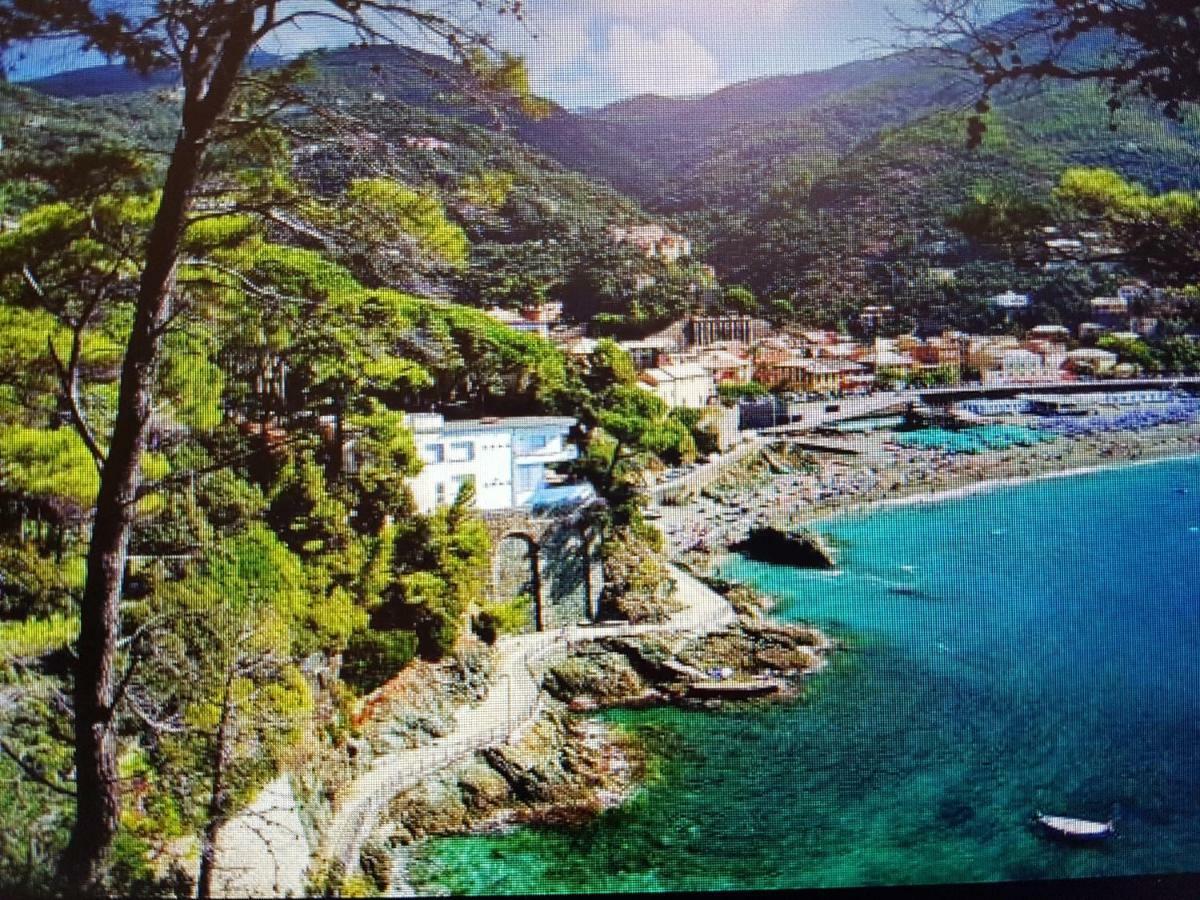 Lungomare 3*