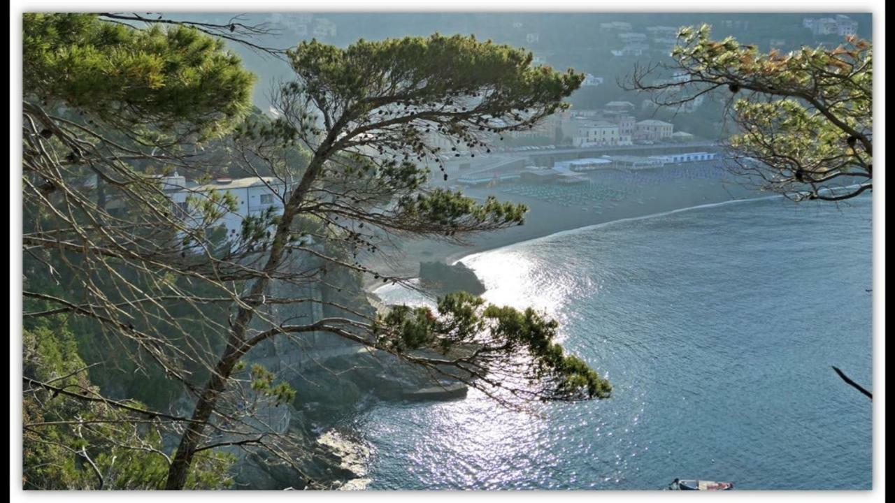Lungomare Hotel 3*